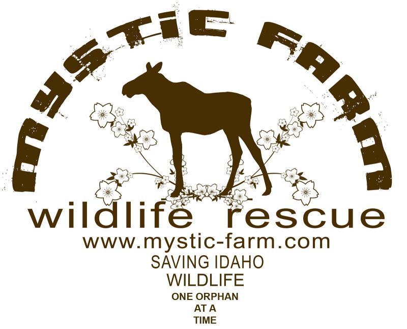 Mystic Farm Wildlife Rescue, Inc.