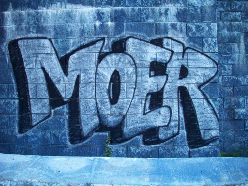 M.O.E.R Foundation, Inc.