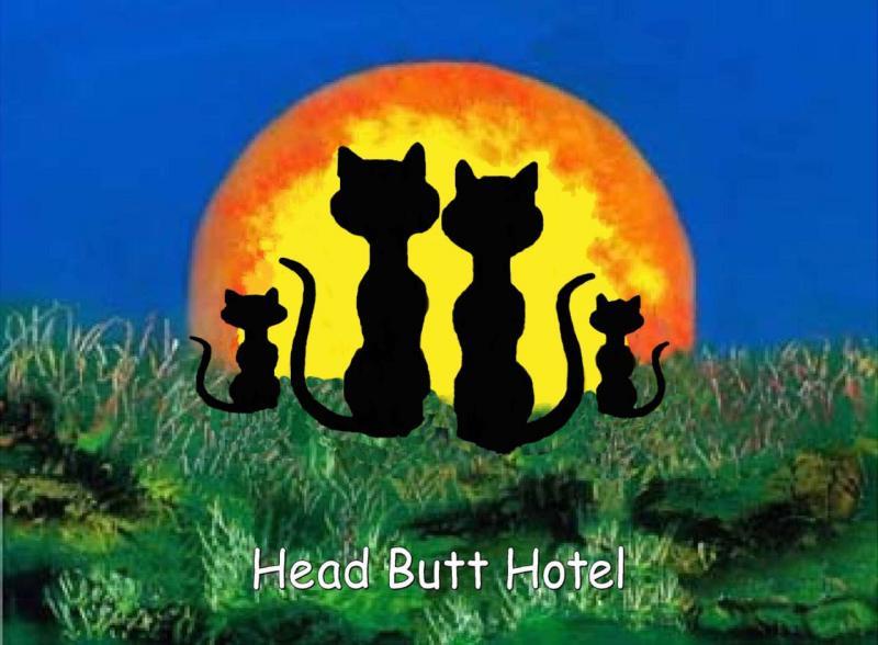 Head Butt Hotel