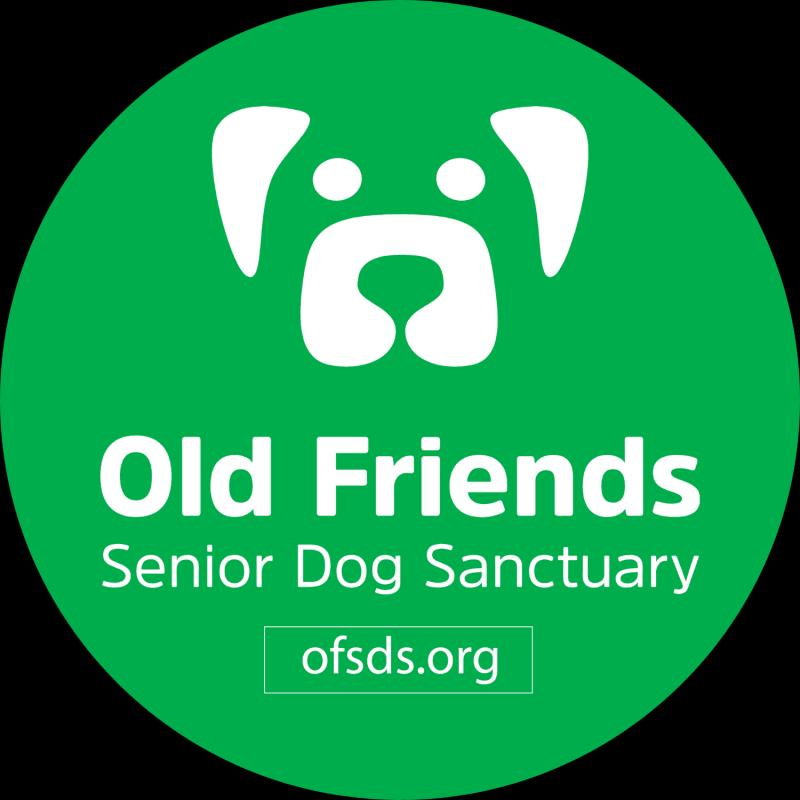 Old Friends Senior Dogs