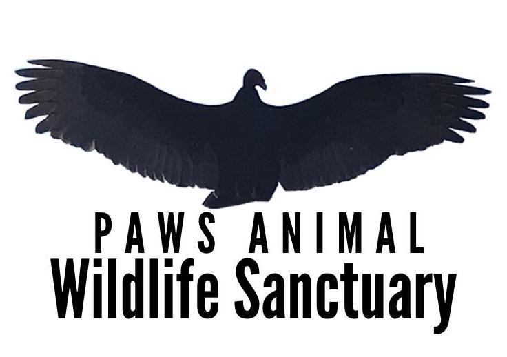 Paws Animal Wildlife Sanctuary Inc