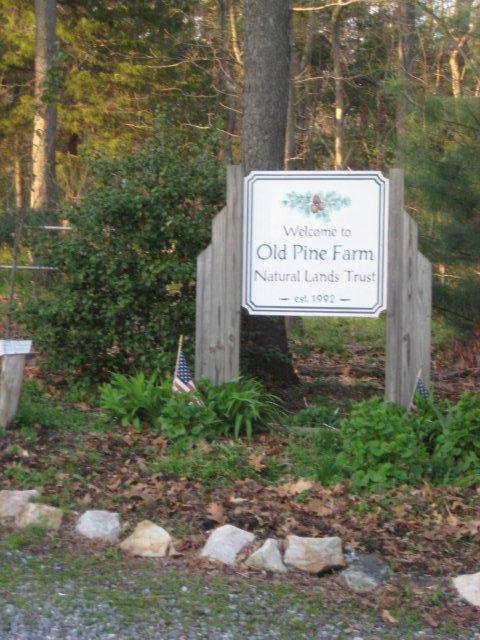 Old Pine Farm Natural Lands TR Inc