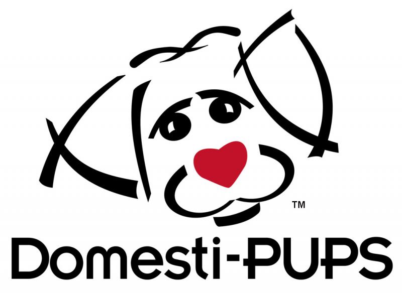 Domesti-Pups