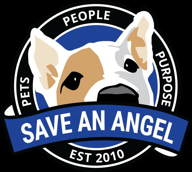 Save An Angel