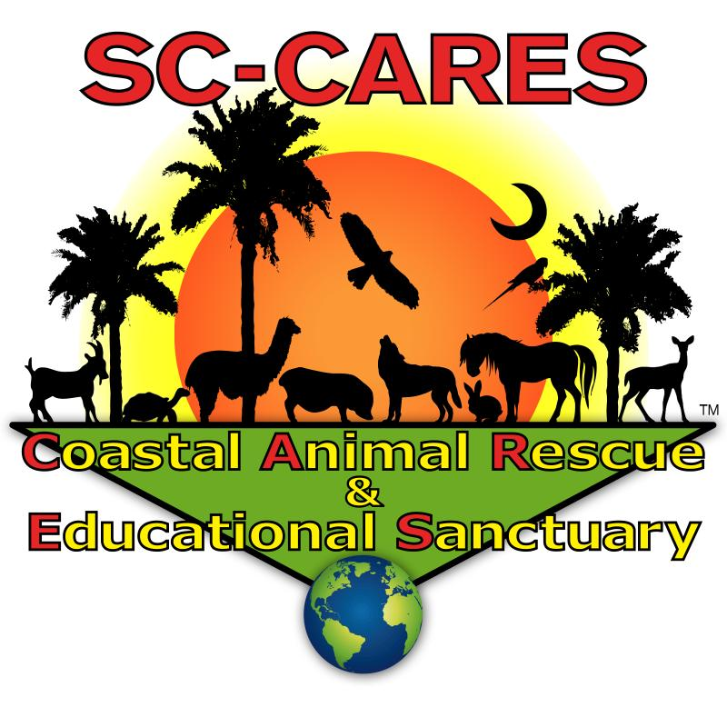 Coastal Animal Rescue and Educational Sanctuary