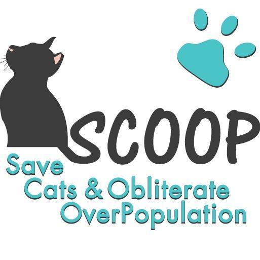 Save Cats and Obliterate Overpopulation