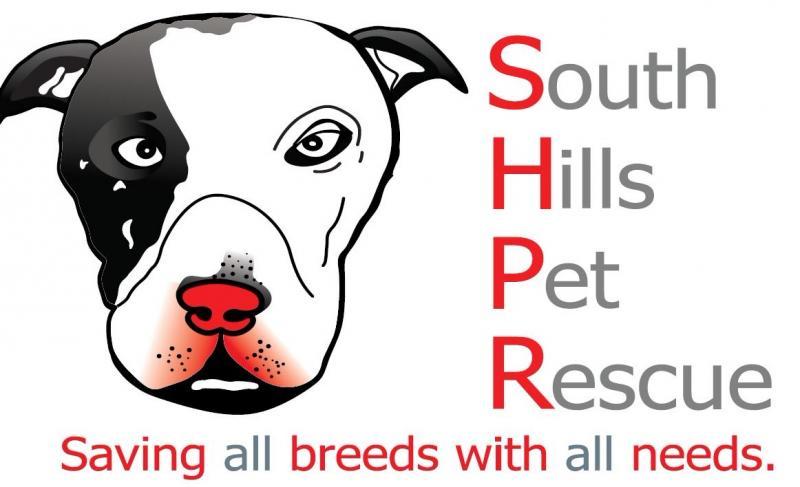 SOUTH HILLS PET RESCUE & REHABILITATION RESORT