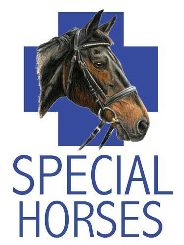 Special Horses