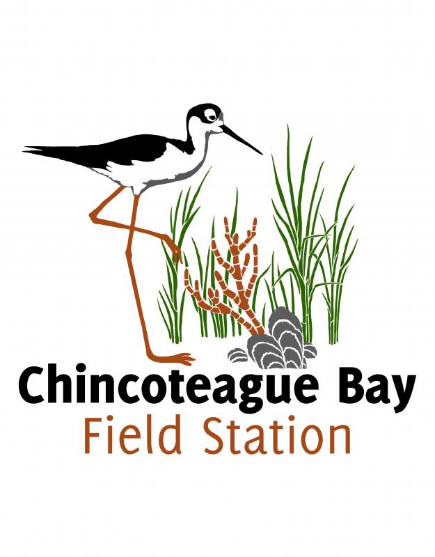 Chincoteague Bay Field Station