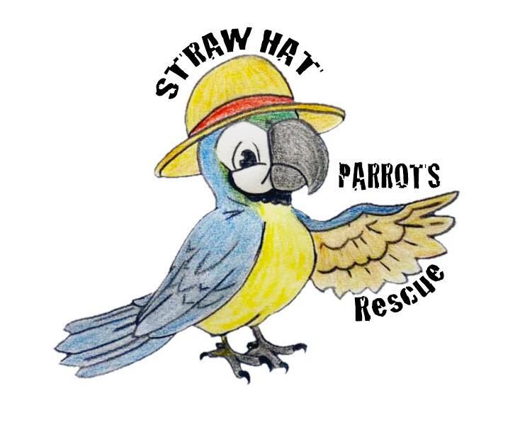 Straw Hat Parrot's Rescue, Inc