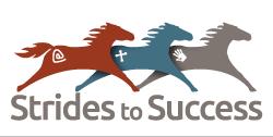 Strides to Success Inc