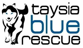 Taysia Blue Rescue