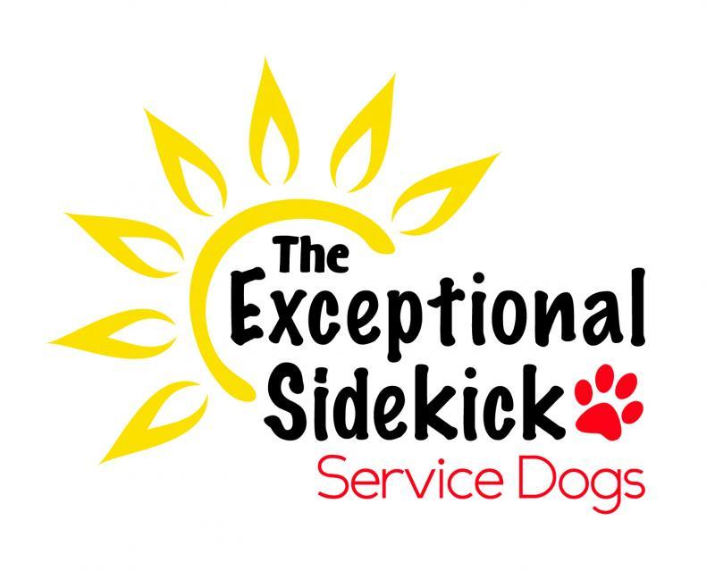 Exceptional Sidekick Inc