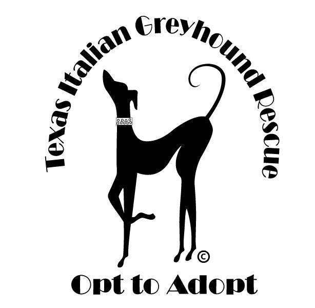 Texas Italian Greyhound Rescue Inc