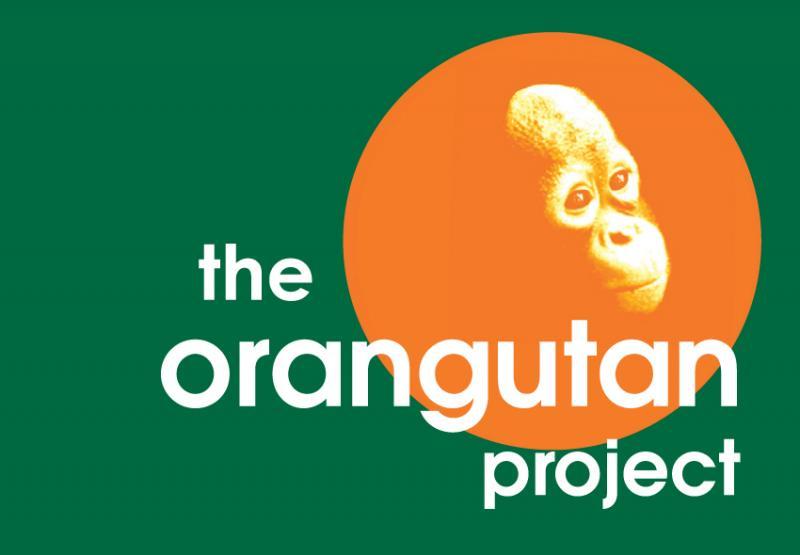 The Orangutan Project