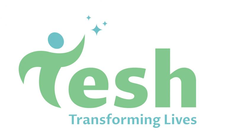 Tesh Inc