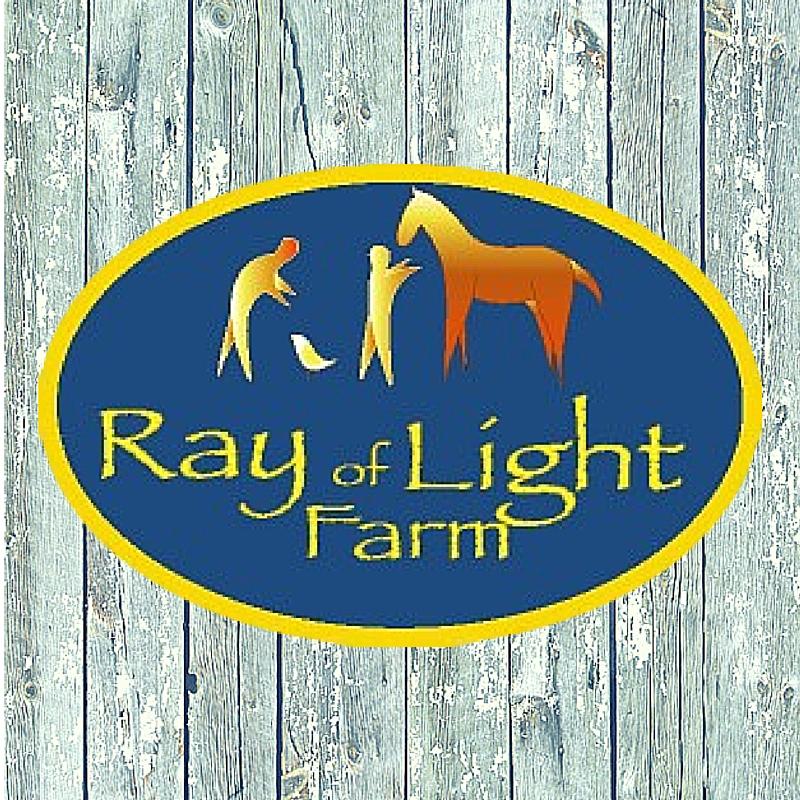 RAY OF LIGHT FARM INC