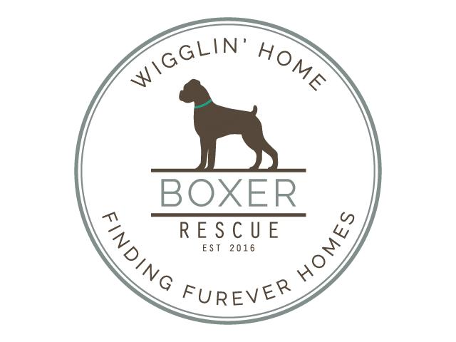 Wigglin Home Boxer Rescue