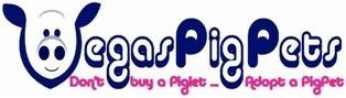 VegasPigPets