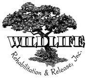 Wildlife Rehabilitation & Release