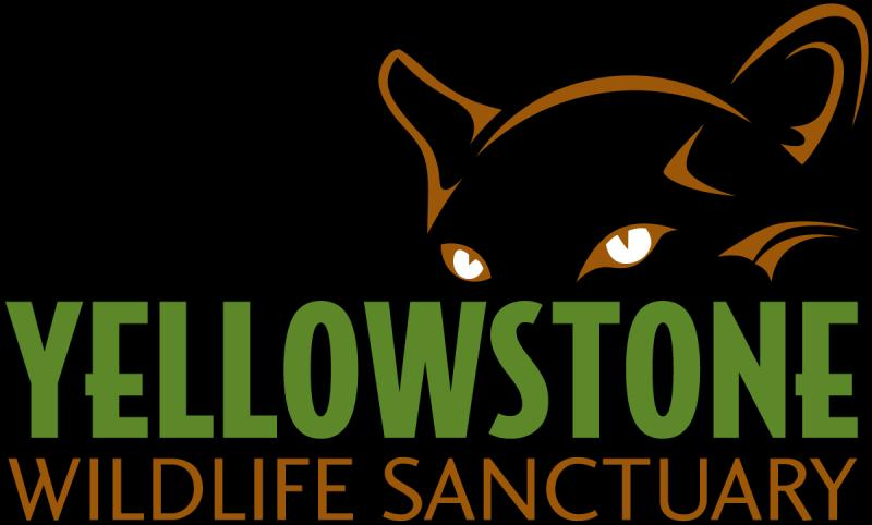 Yellowstone Wildlife Sanctuary