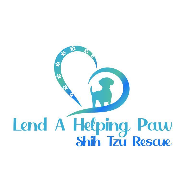 Lend A Helping Paw Shih Tzu Rescue