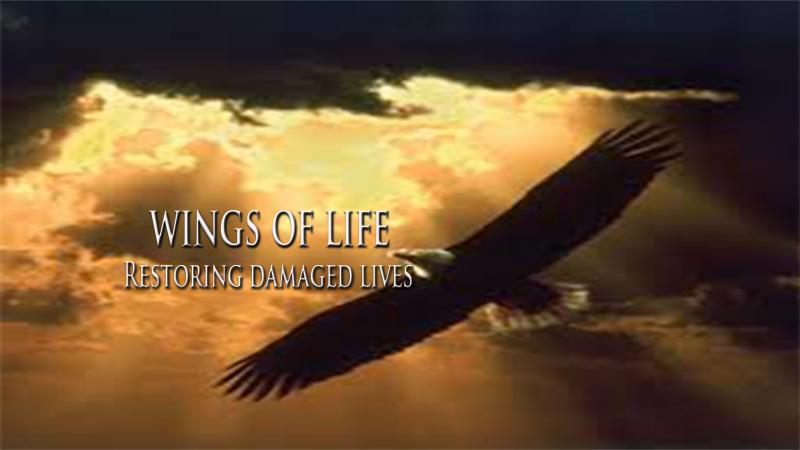 Wings of Life Inc