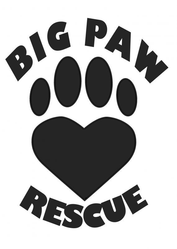 Big Paw Rescue A Nonprofit Corporation