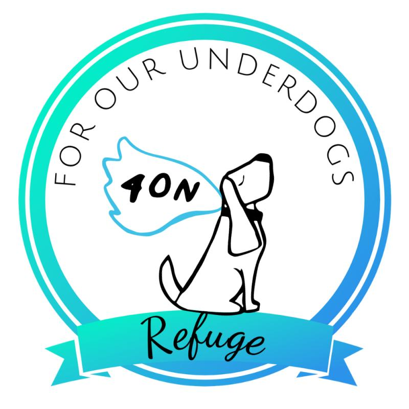 For Our Underdogs Refuge Outreach & Networking