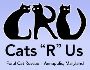 Cats R Us Inc