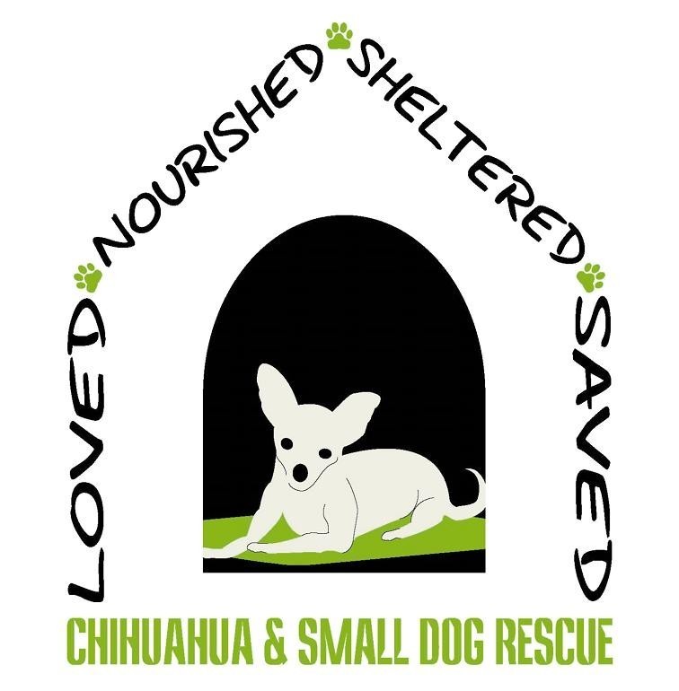 Chihuahua & Small Dog Rescue Inc