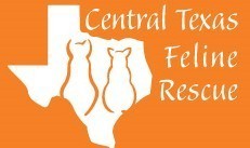 Central Texas Feline Rescue Inc