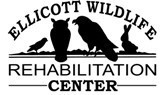 Ellicott Wildlife Rehabilitation Center