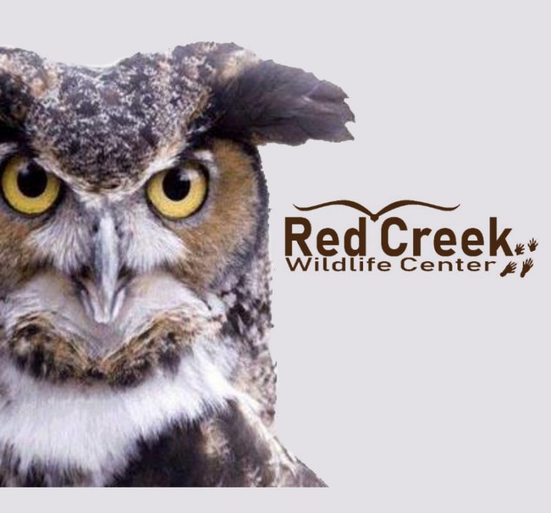 Red Creek Wildlife Center Inc