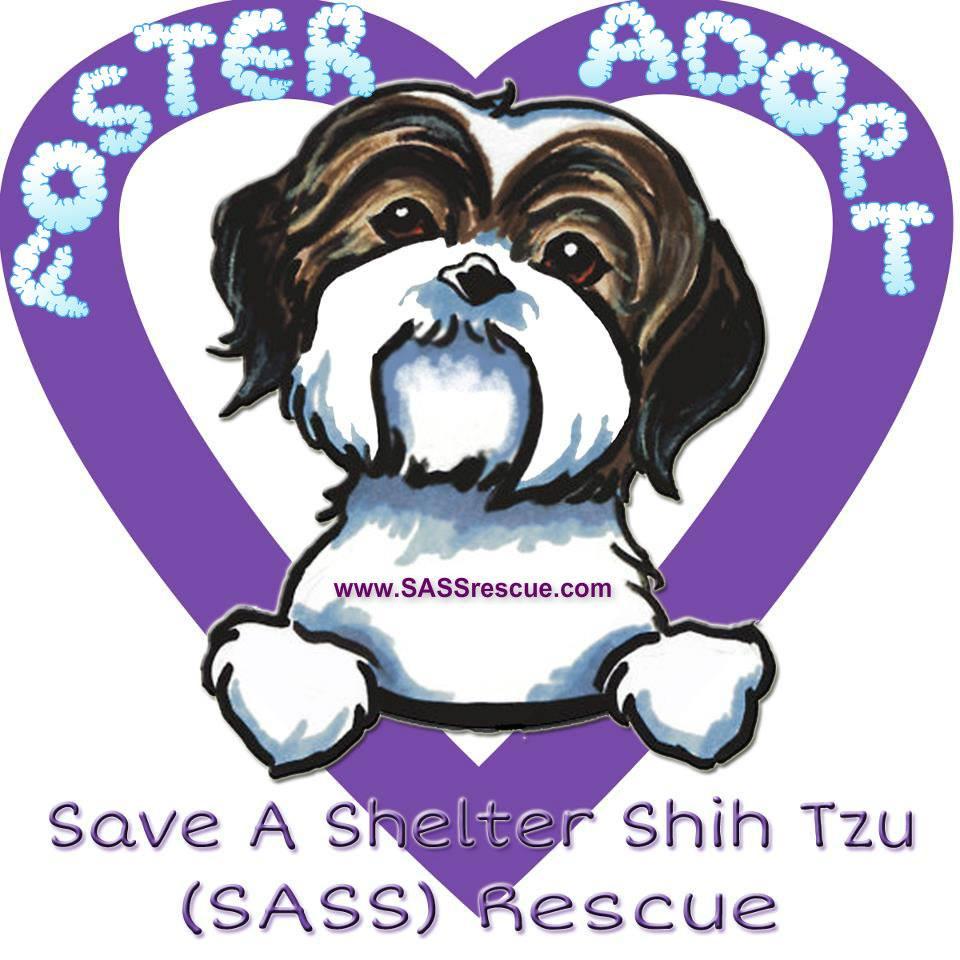 SASS Shih Tzu Rescue