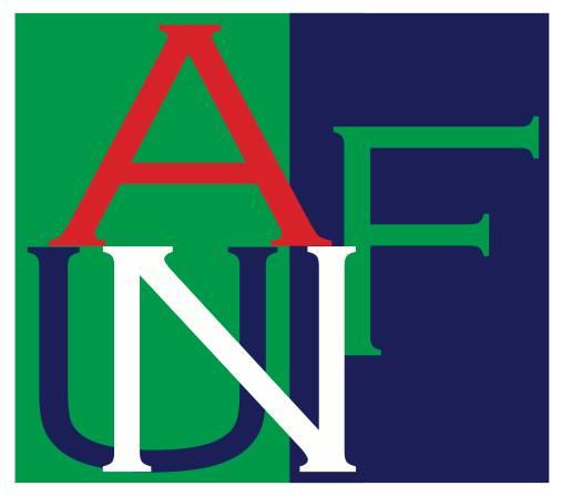 THE AMERICAN UNIVERSITY OF NIGERIA FOUNDATION