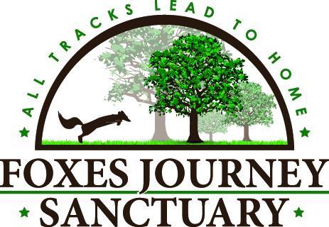 Foxes Journey Sanctuary