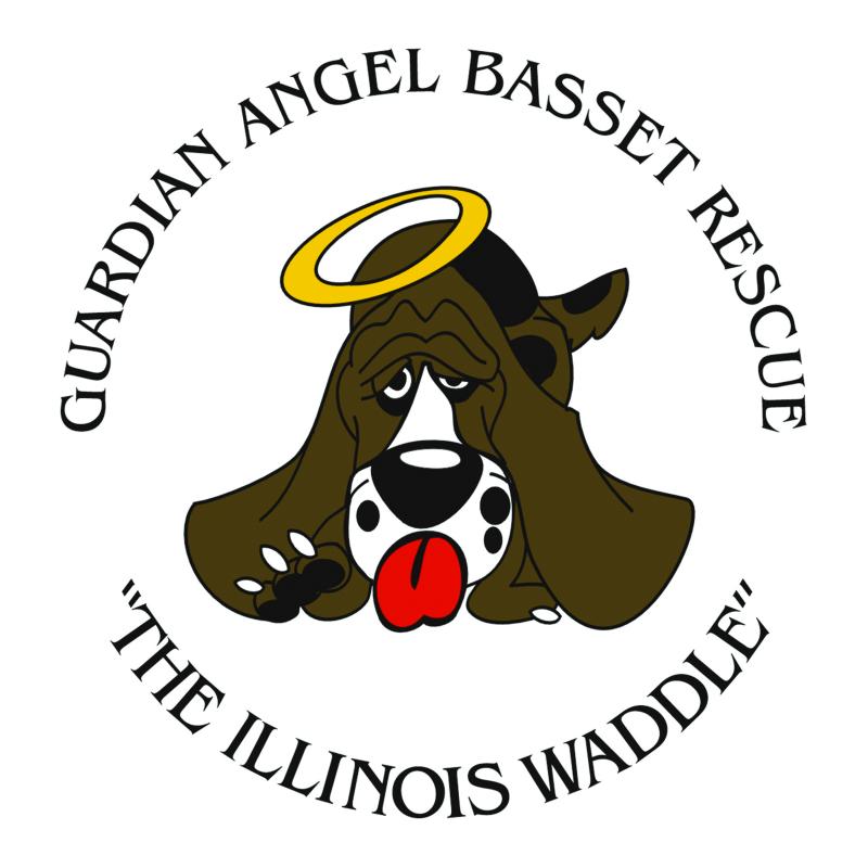 Guardian Angel Basset Rescue Inc