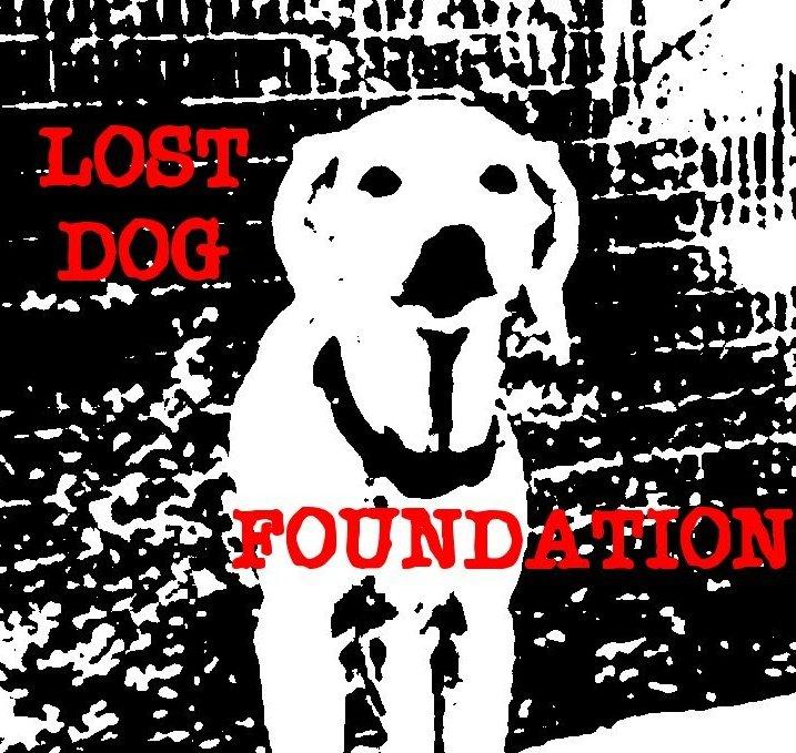 Lost Dog Foundation