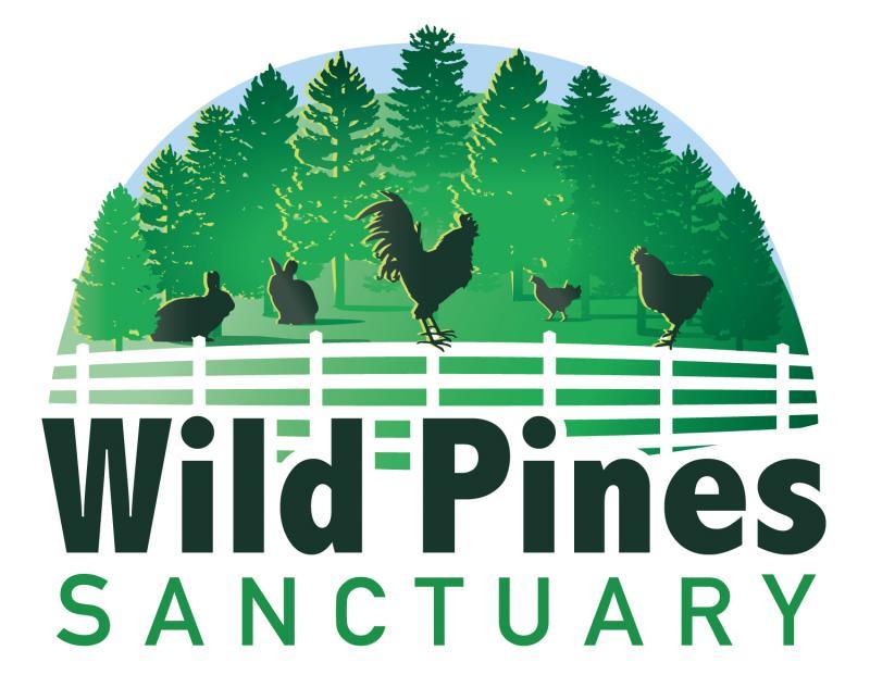 Wild Pines Sanctuary