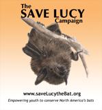 The Save Lucy Campaign