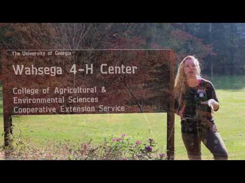 Help CMS 8th grade students go to Whasega 4H!