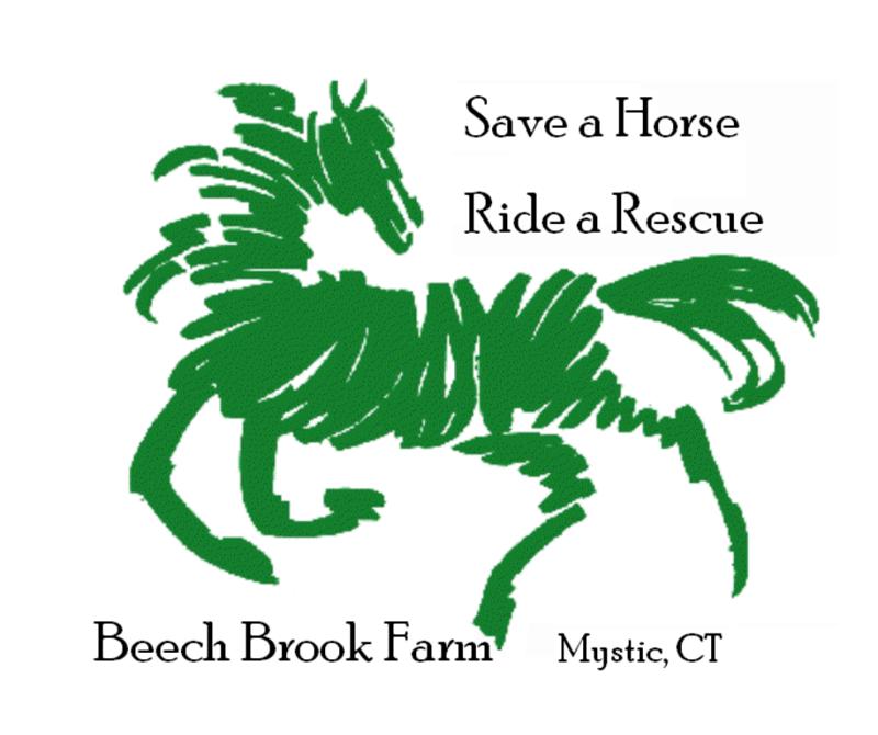 Beech Brook Farm Equine Rescue