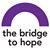 BRIDGE TO HOPE INC