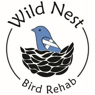 Wild Nest Bird Rehab