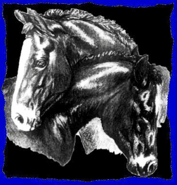 Florida Research Institute for Equine Nurturing Development & Safety, Inc. aka F.R.I.E.N.D.S. Horse Rescue