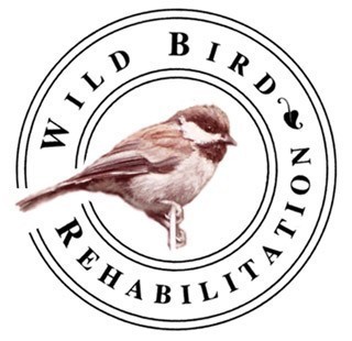 Wild Bird Rehabilitation