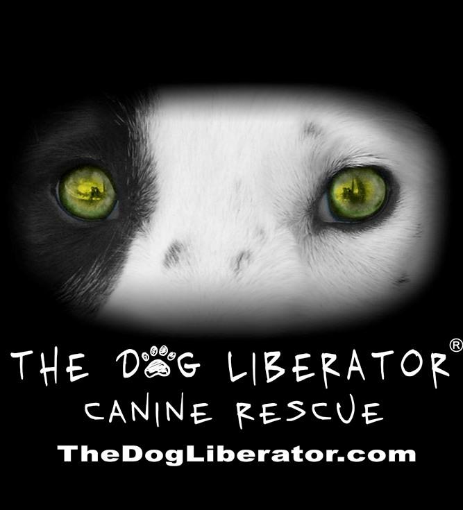 The Dog Liberator