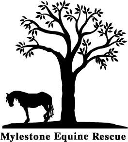 Mylestone Equine Rescue a New Jersey Non-Profit Corporation