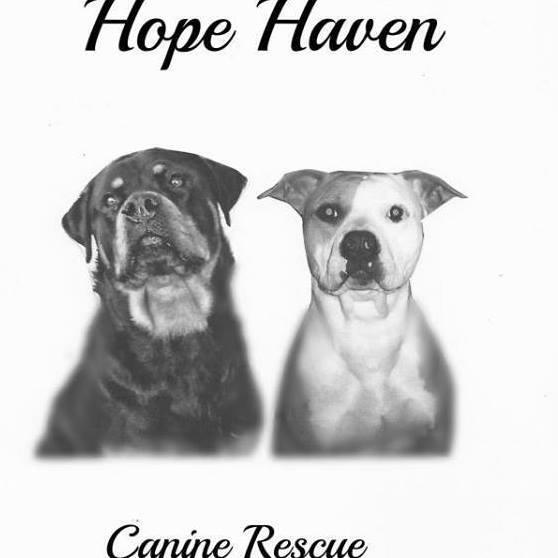 Hope Haven Canine Rescue